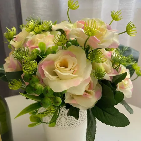 Belladorm Apartamento Benidorm