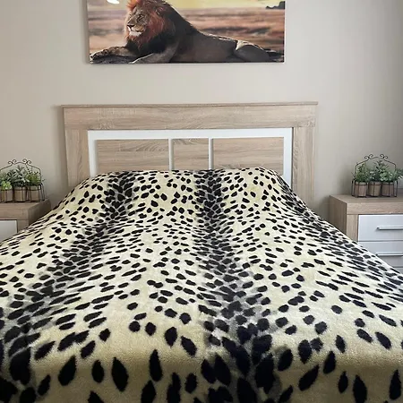 Belladorm Apartament